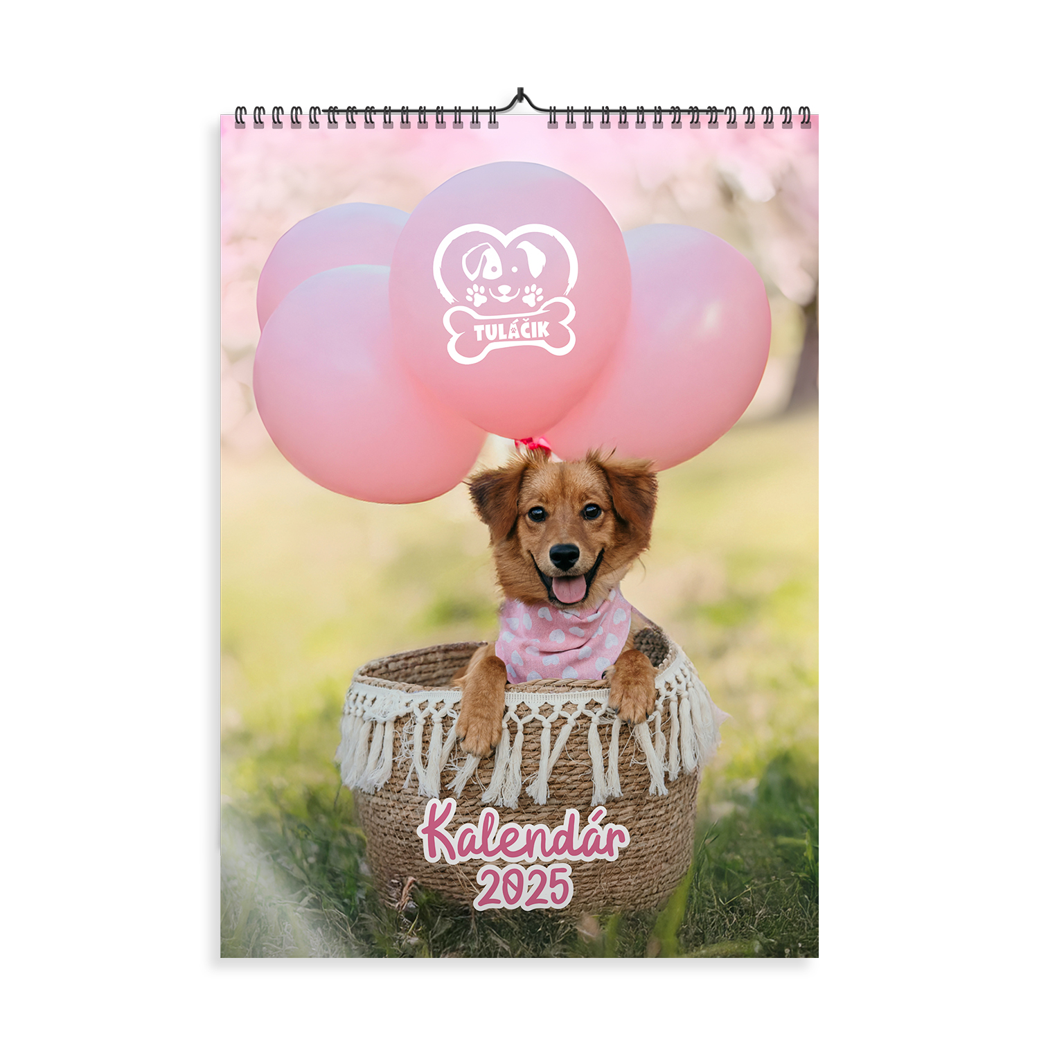 preview-nastenny copy 2026